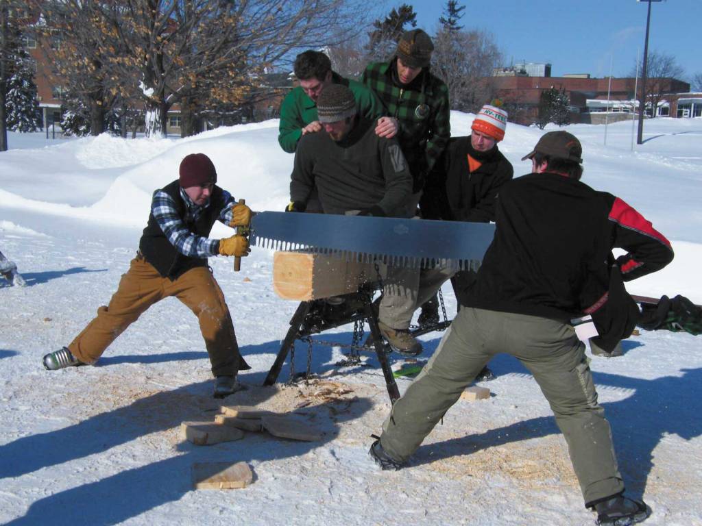 4111-lumberjacks-nm