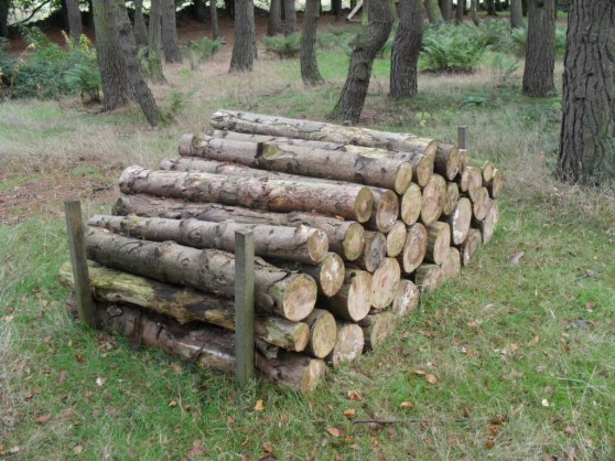A-Pile-of-Logs